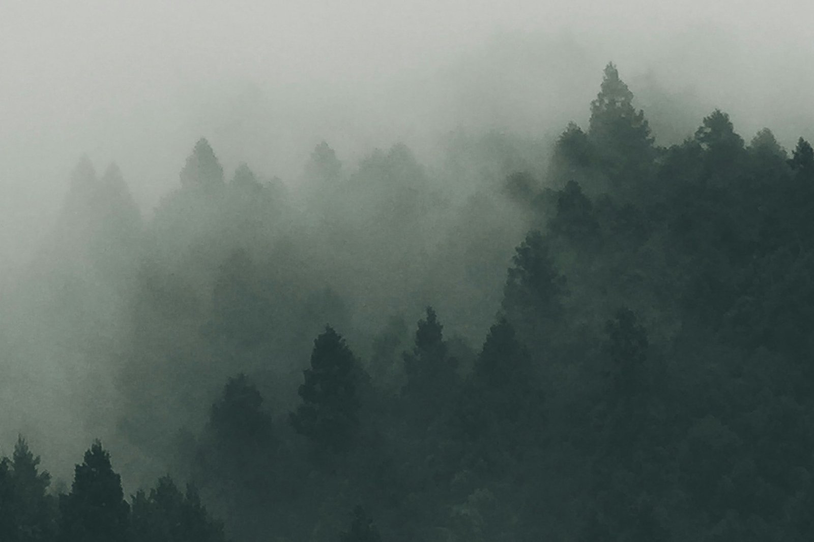 Texture nobile, finitura maestosa